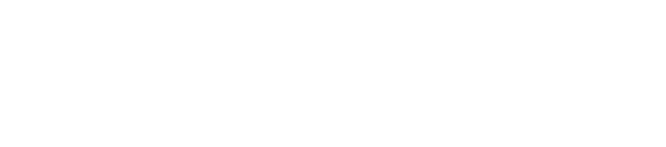 Princess Dental Staffing